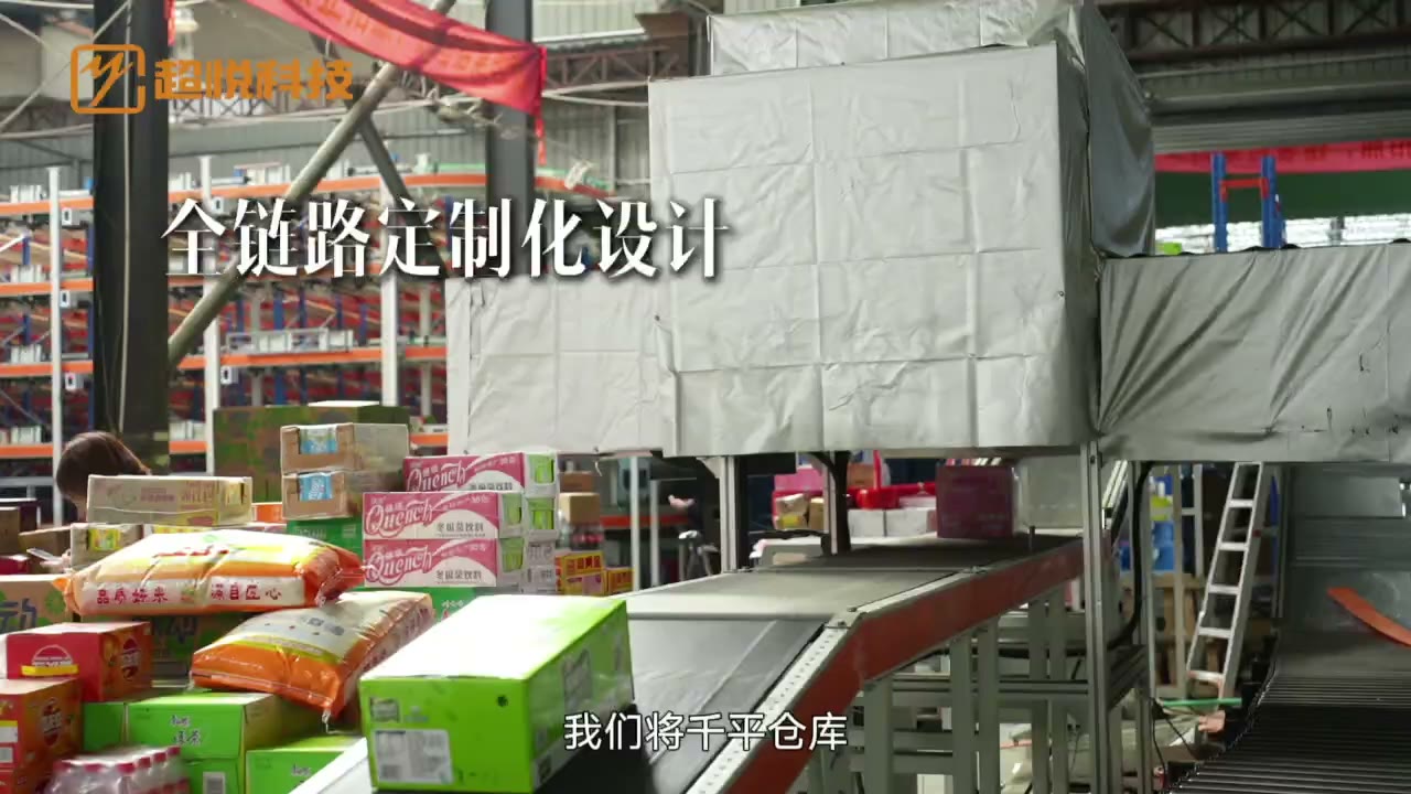 广州新大信商贸项目仓内输送设备与分拣作业区域现场